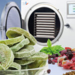 From fresh fruits to long-lasting snacks: all thanks to the incredible freeze dry machine!
