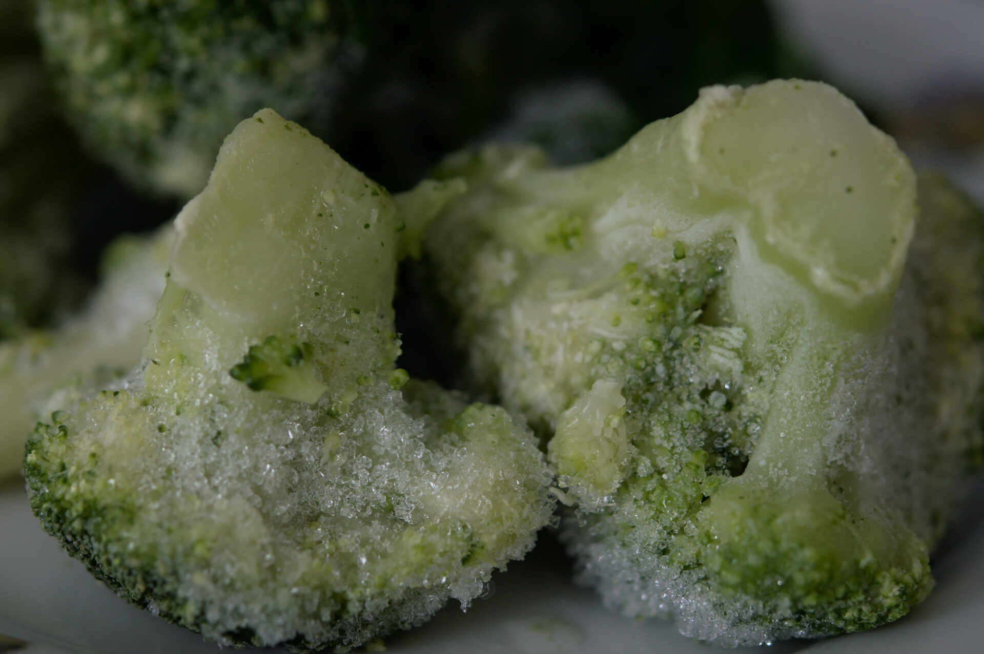 Broccoli, brimming with Vitamin C, retains its vital nutrients even post freeze-drying.
