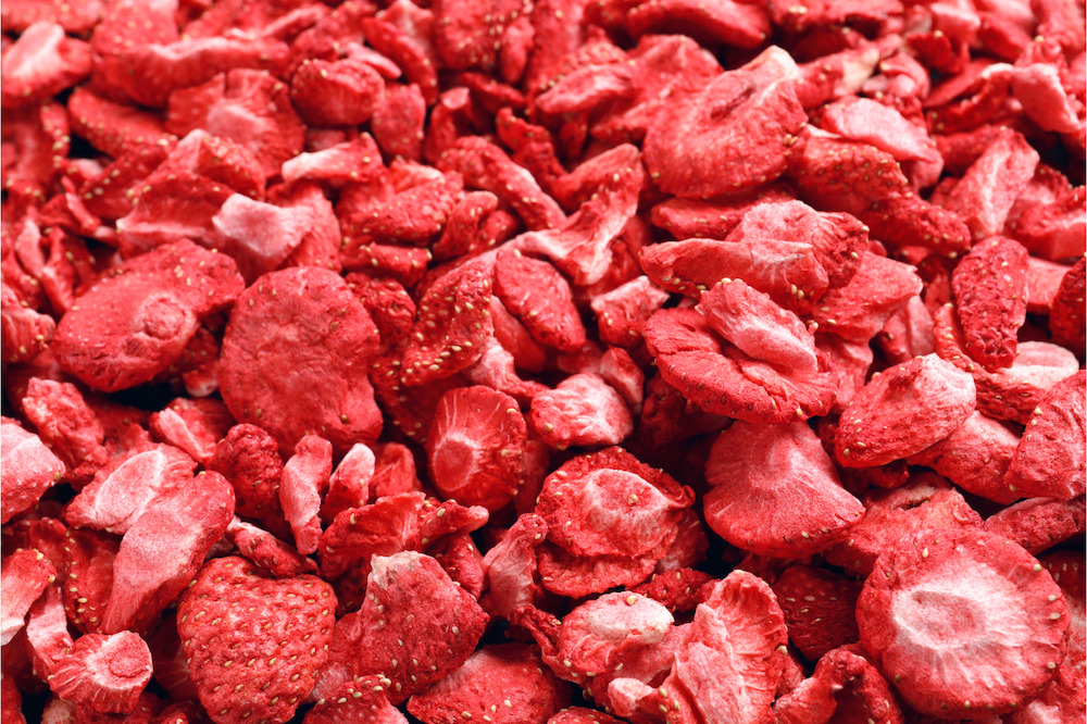 Freeze-dried strawberries fresh out of our freeze dry machine: sweet, crisp, and ready for long term storage!