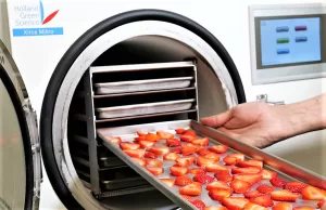 Strawberries on the Go: Transitioning from the Preseva -25Âº Freezer to the Xiros Mikro Freeze Dryer for Optimal Preservation.