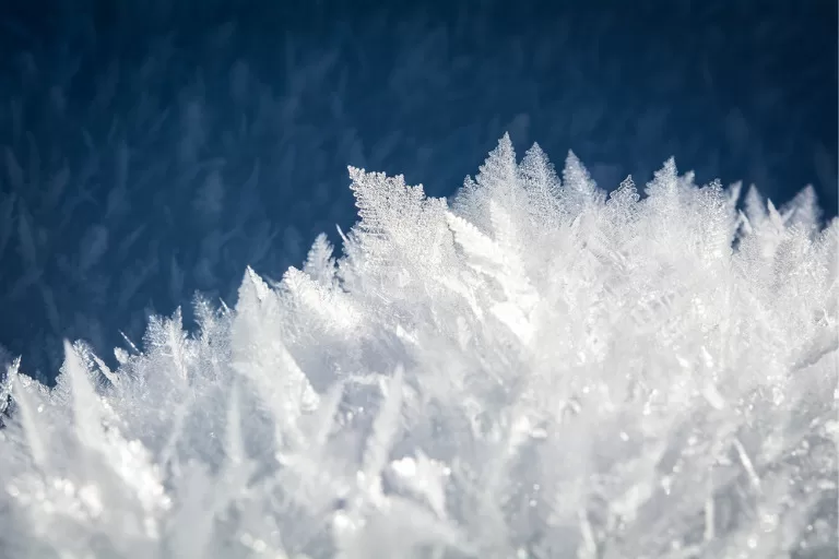 The Science of Pre-Freezing: How the Preseva-25º Plus Freezer optimizes freeze-drying.