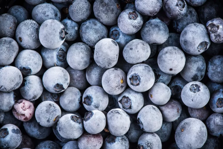 Just as frozen blueberries retain their freshness, a -25°C freezer ensures specific samples and reagents are preserved without the need for ultra-low temperatures.