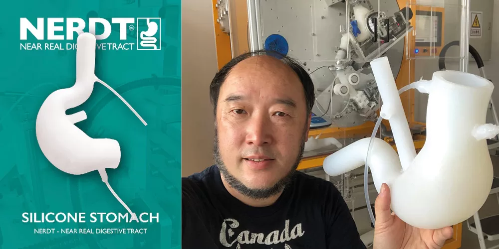 Professor Xiao Dong Chen showcasing the NERDT™ silicone stomach model, a tool that revolutionizes our understanding of digestive biomechanics through realistic simulation and ethical research practices.
