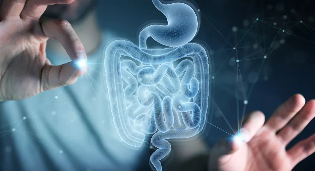 Pioneers in Digestive Research