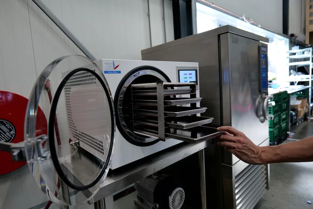 Freeze Dry Machine: Discover the advantages of Using one - Holland Green  Science europe