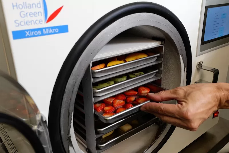 Optimizing Food Preservation: A concise guide to selecting and using a freeze dry machine, considering all essential factors from selection to storage.