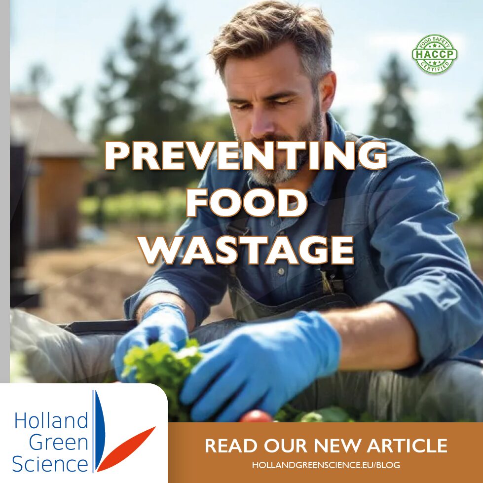 blog about food wastage and freeze drying